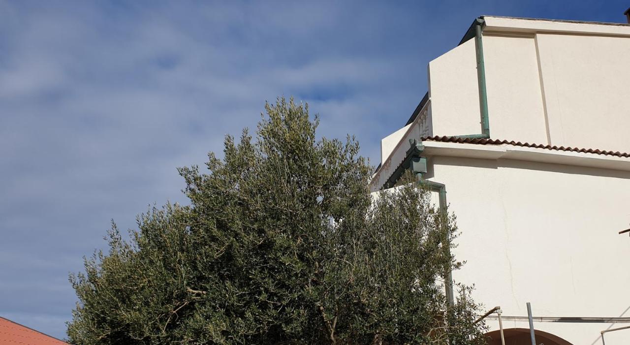 Bellavista Bed And Breakfast Pag Town Εξωτερικό φωτογραφία